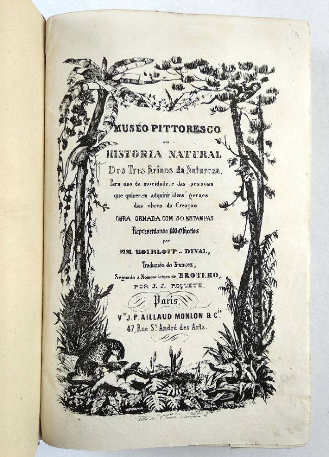 Museu Pitoresco ou História natural dos Três Reinos da natureza (meados do século XIX)