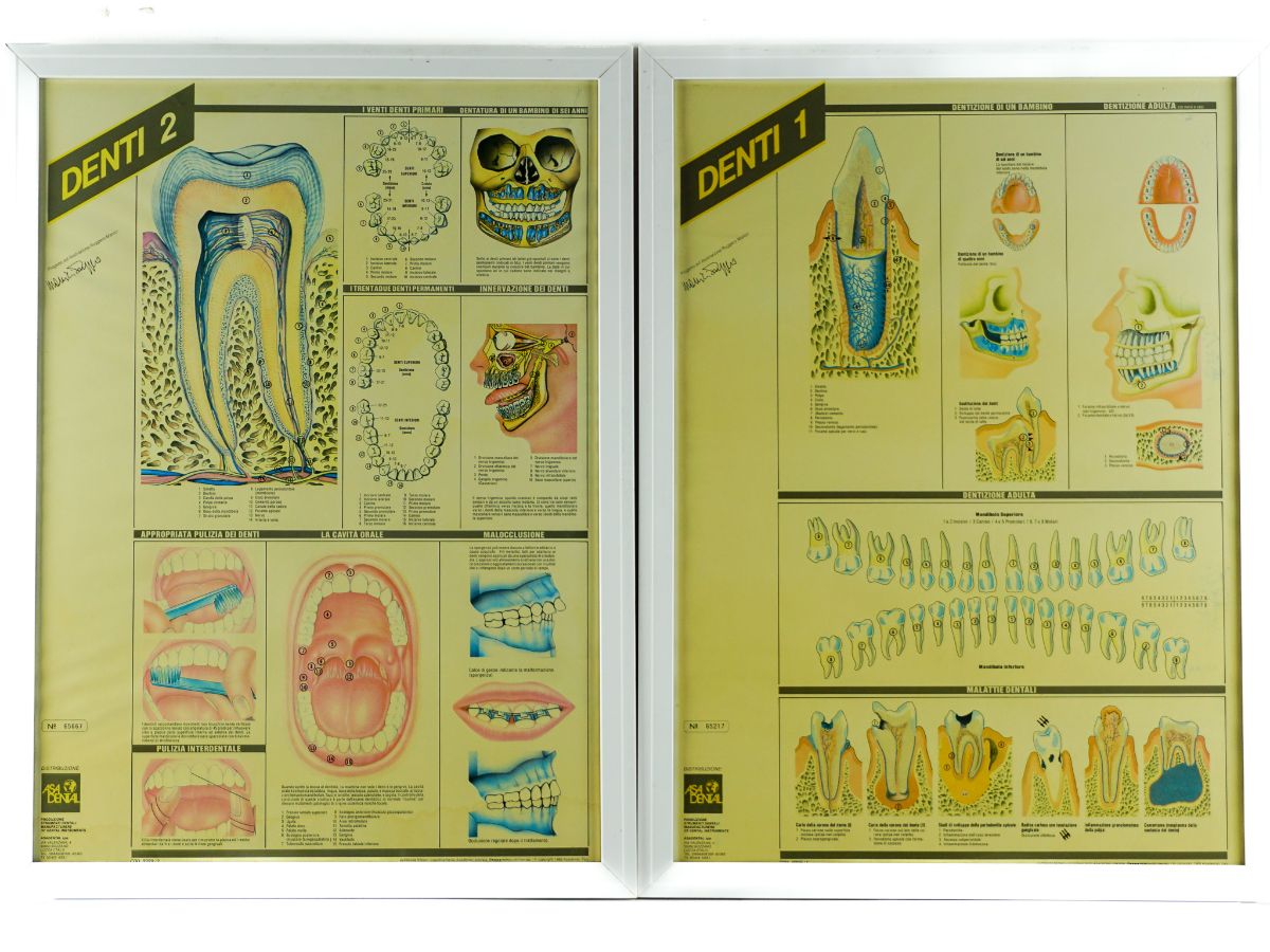 2 Cartazes Dentários