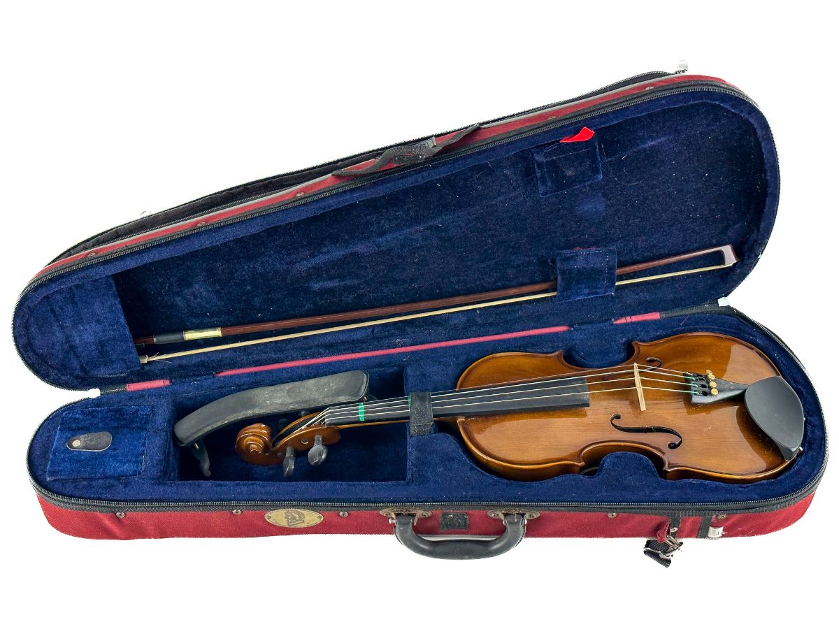 Violino