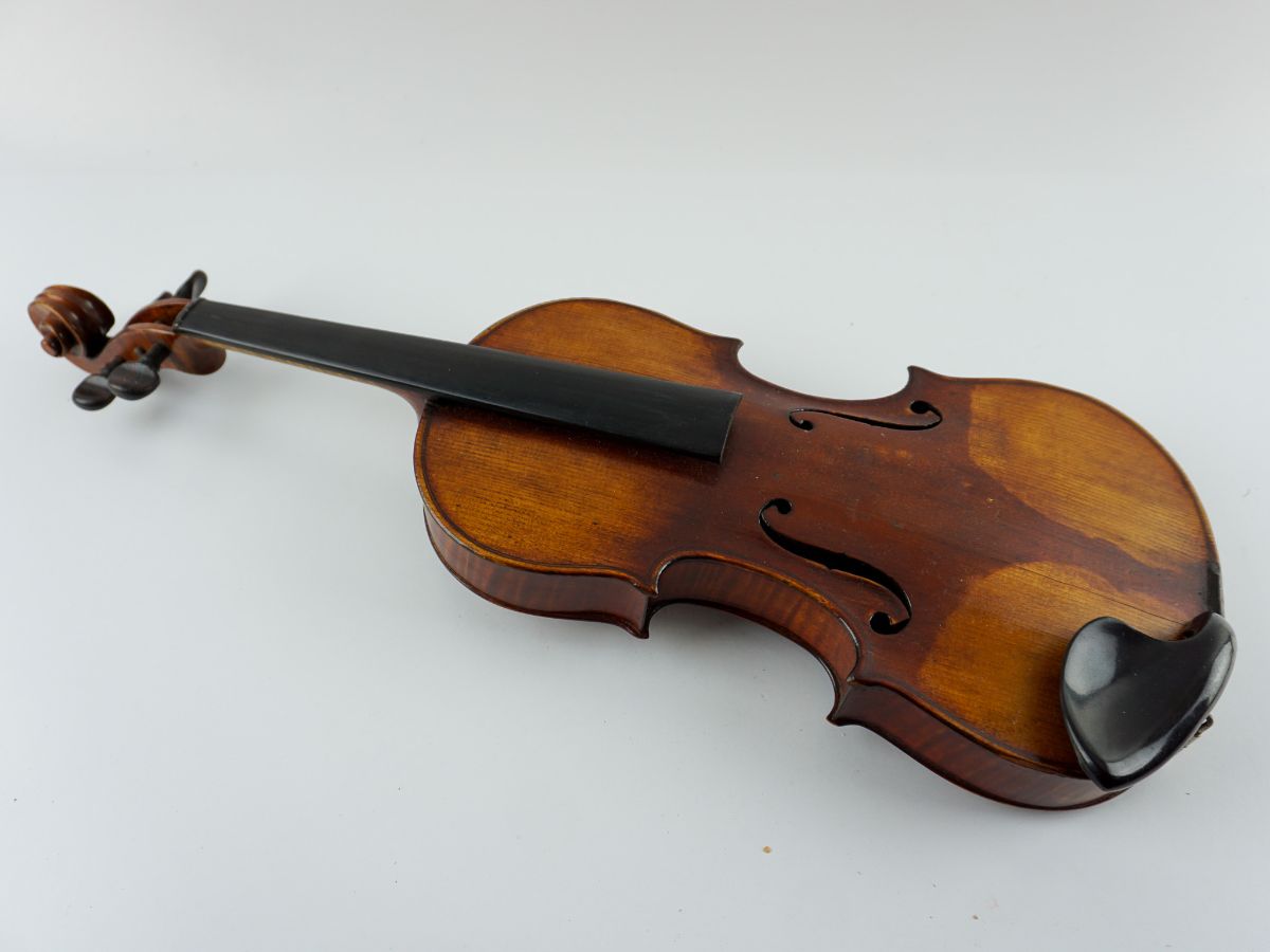 Violino