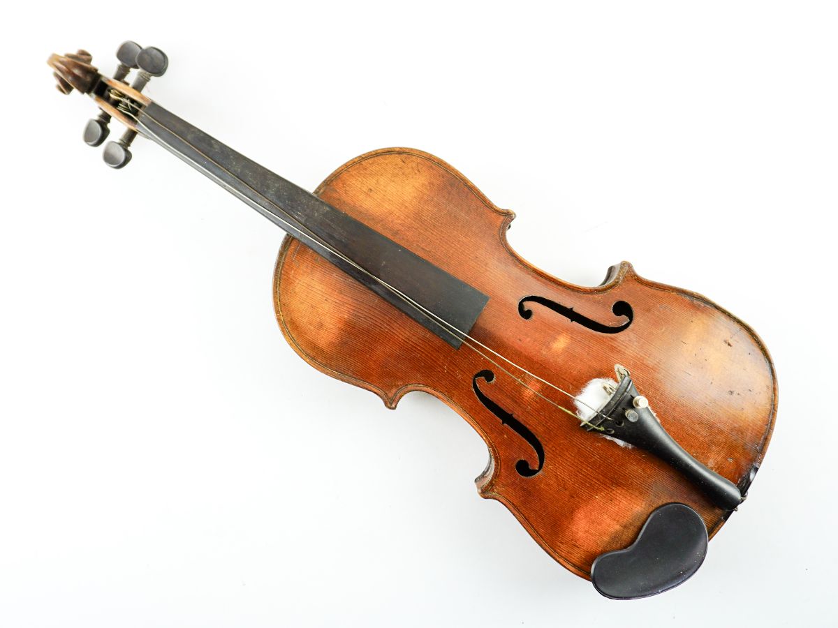 Violino