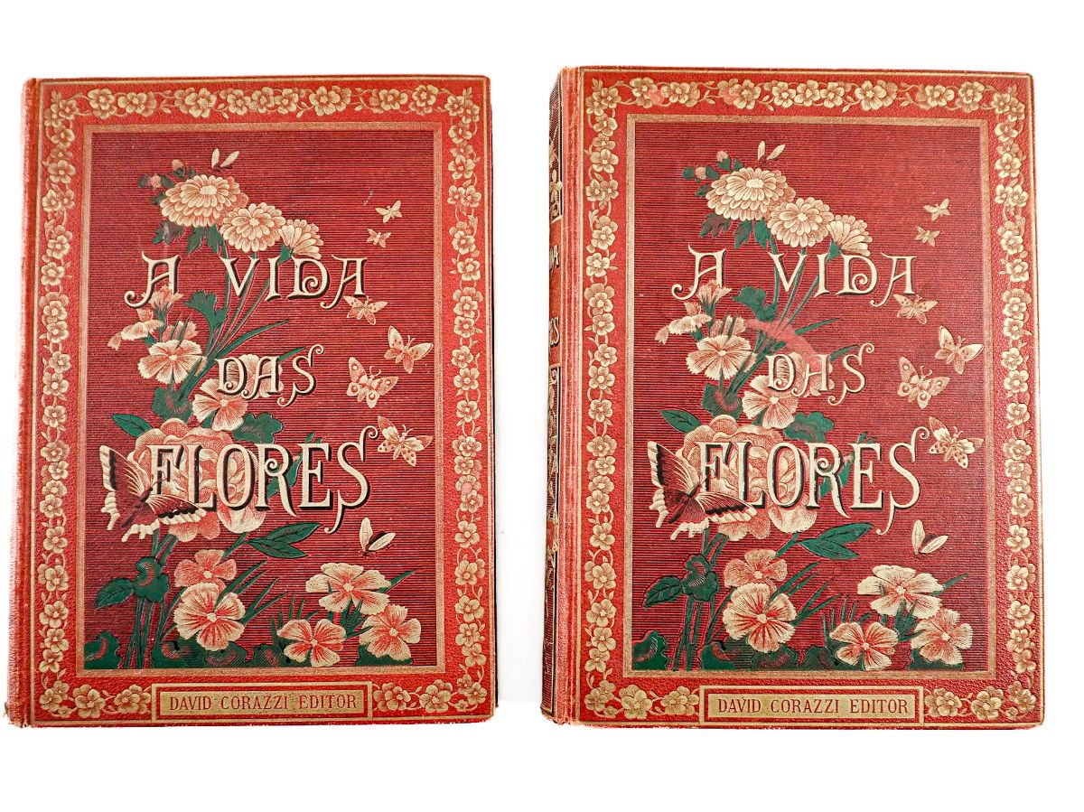 A Vida das Flores