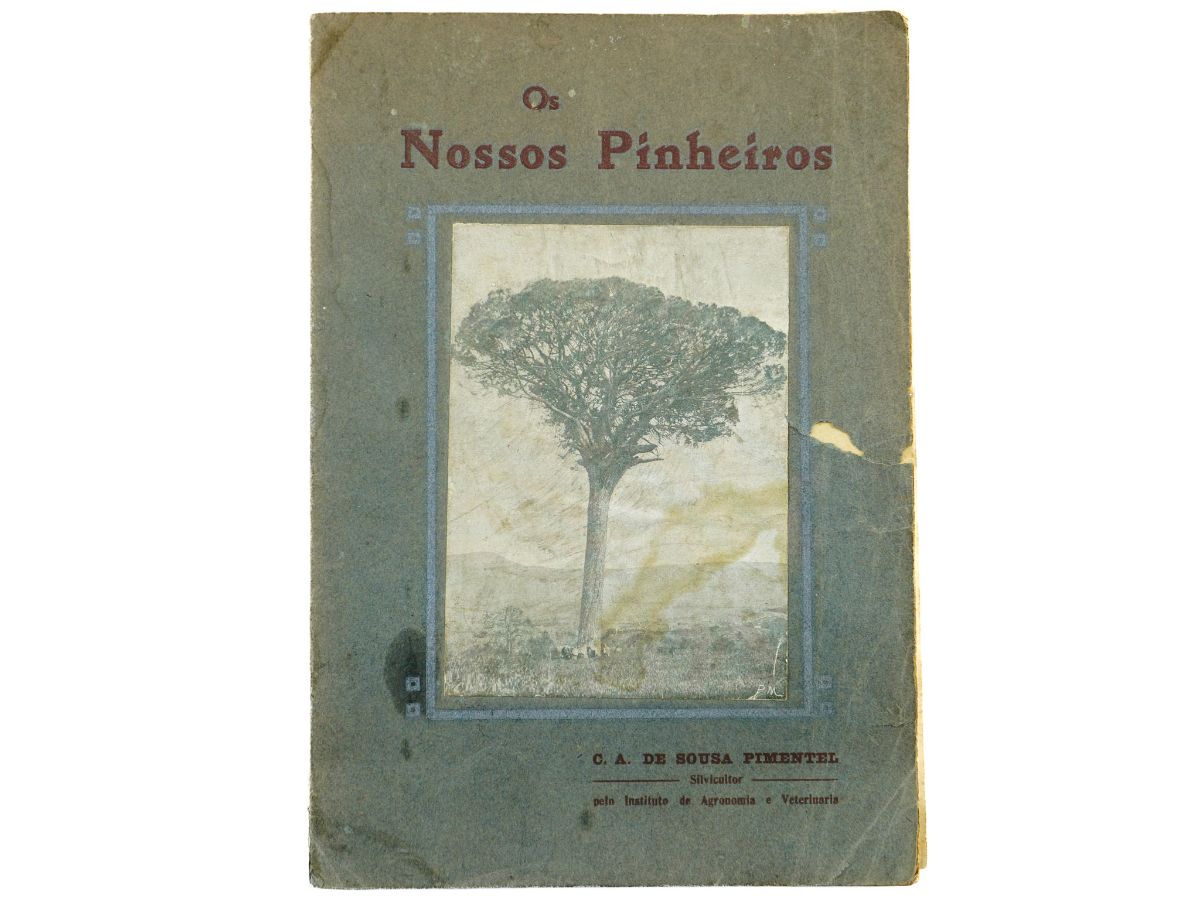 Os Nossos Pinheiros