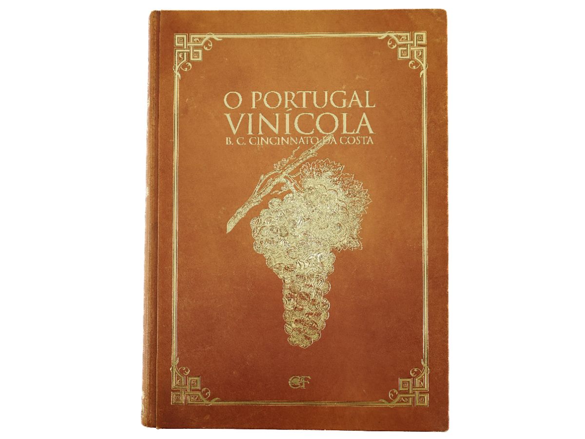 O Portugal Vinícola