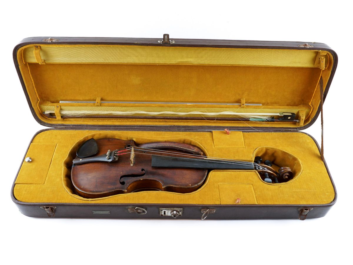 Violino