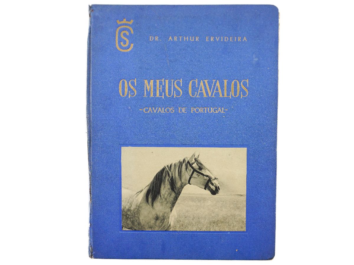 Arthur Ervideira - Os Meus Cavalos